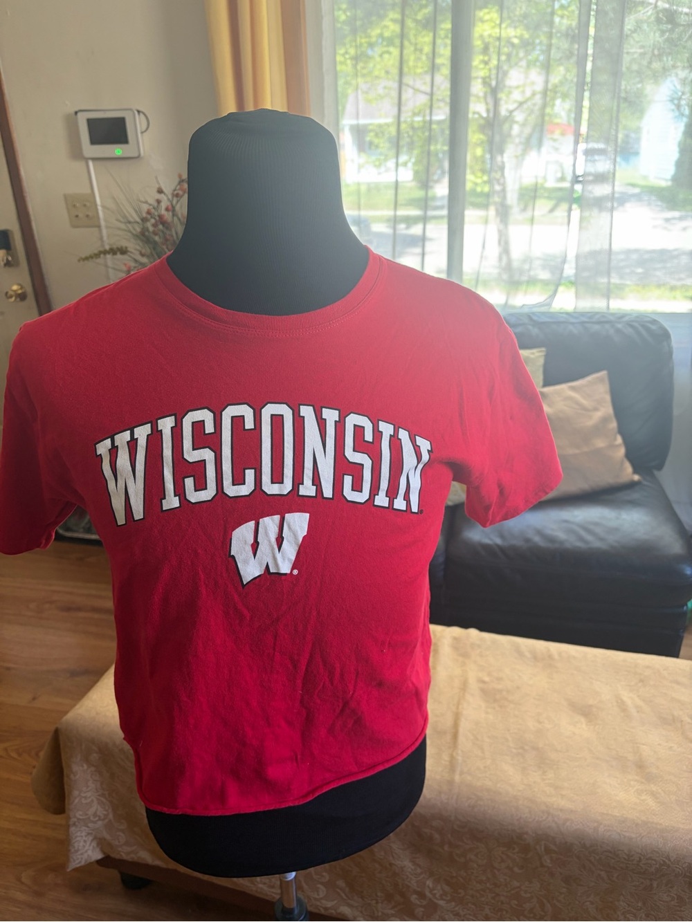 Wisconsin crop top Graphic Tee - White Lettering